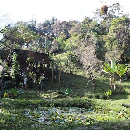 La Casa De Loto Retreat Guatapé Dış mekan fotoğraf